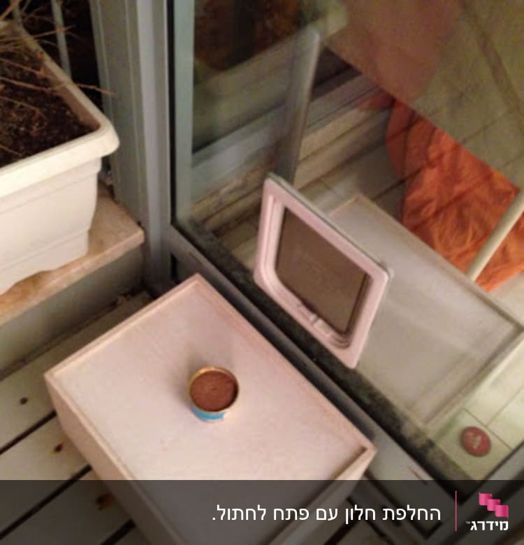 מחכה לחתול...:)